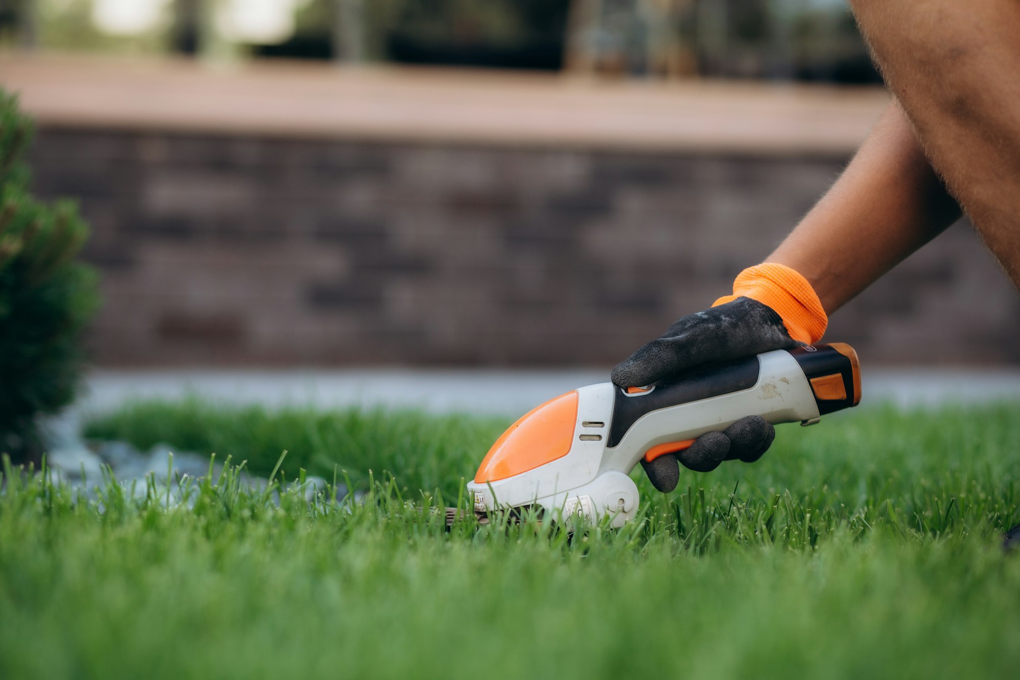 Gardener using a manual grass cutter for detail work