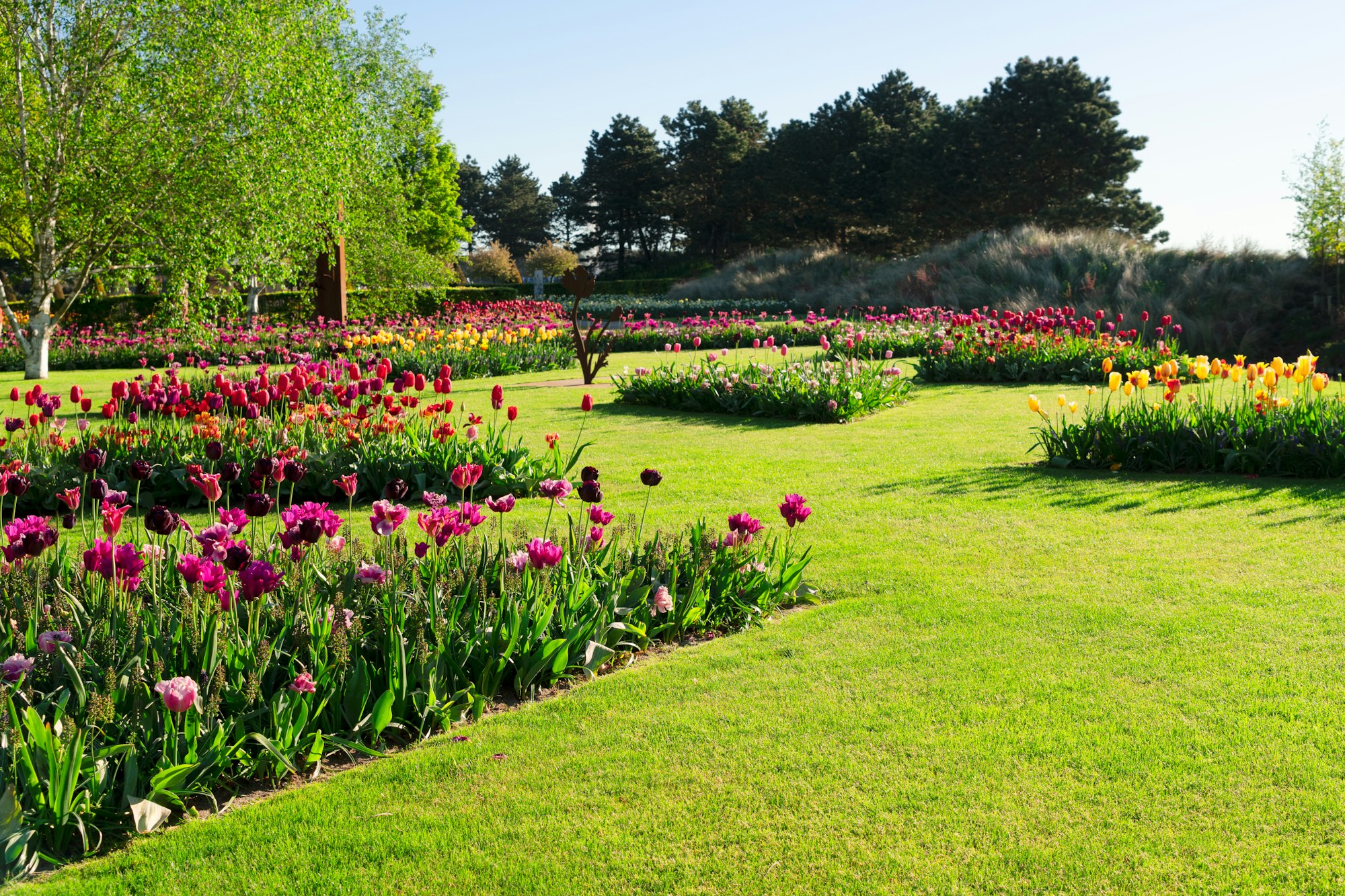 Fresh lawn surrounded by colorful flower plantings