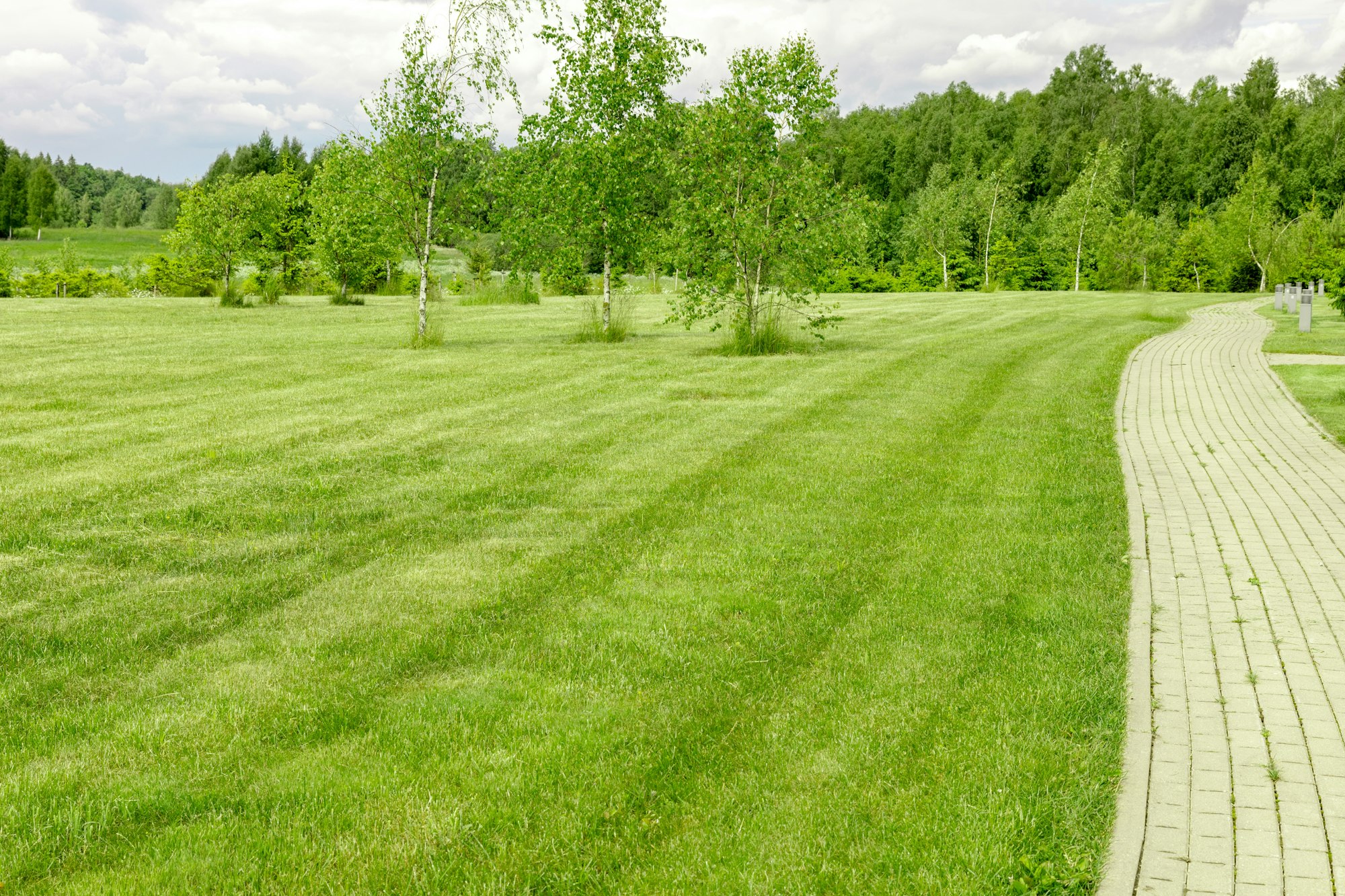 Perfectly mowed garden lawn in summer with trimmed grass