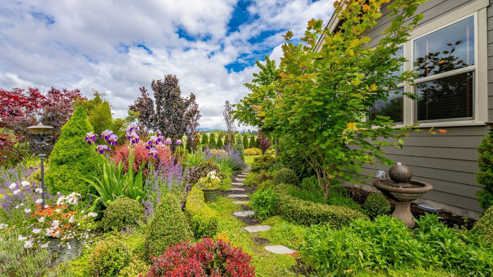Garden bedding and flower planting