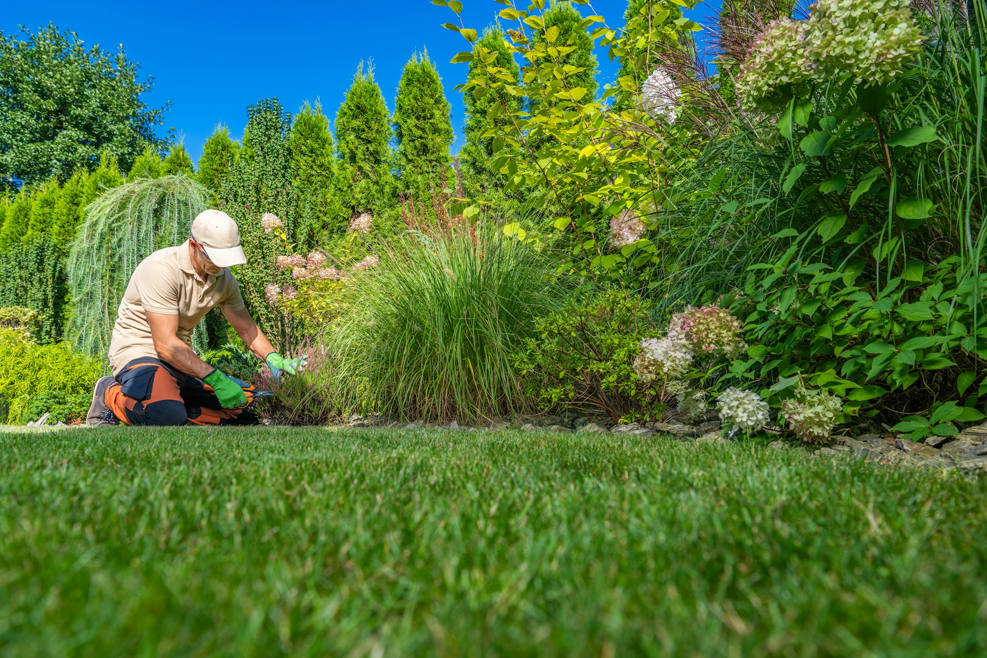 Spring and fall seasonal lawn maintenance
